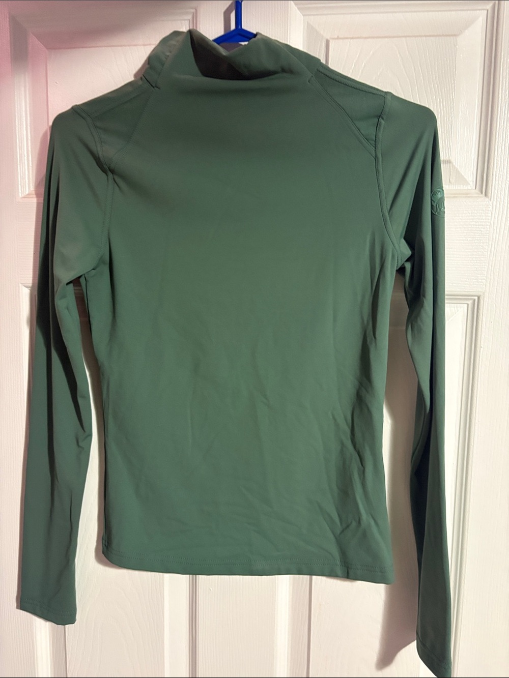 Temt Long Sleeve Mock Neck Top in Sage